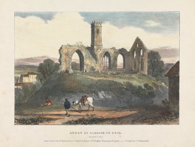 Abbaye à Carrick sur Suir - James Duffield Harding