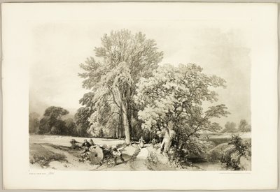 Abele et Chêne, du Parc et la Forêt - James Duffield Harding
