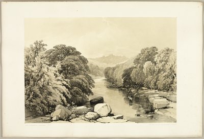 Frêne, sycomore et chêne, de Le Parc et la Forêt - James Duffield Harding
