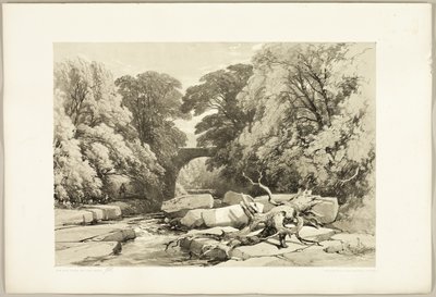 Frêne et aulne sur la Greta, du Parc et la Forêt - James Duffield Harding
