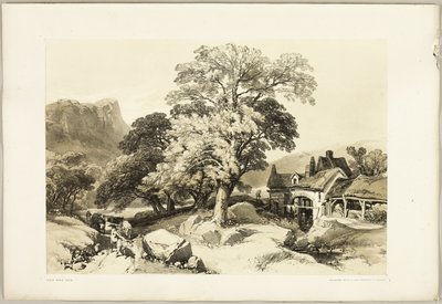 Frêne et Chêne, du Parc et la Forêt - James Duffield Harding