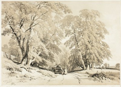 Frêne, du Parc et la Forêt - James Duffield Harding