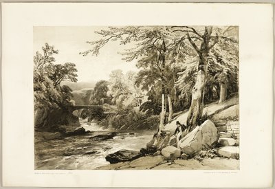 Hêtre et frêne sur la Greta, du Parc et la Forêt - James Duffield Harding