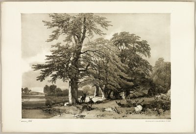 Hêtre, du Parc et la Forêt - James Duffield Harding