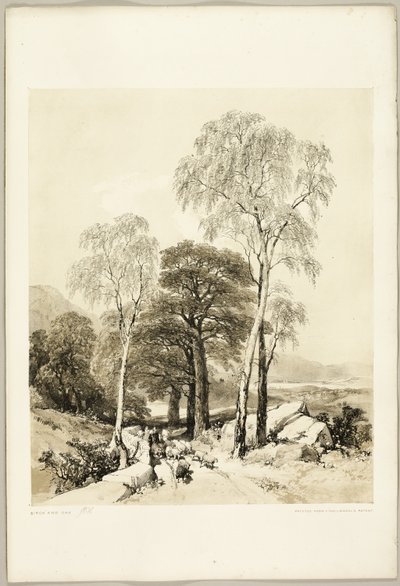 Bouleau et chêne, du parc et de la forêt - James Duffield Harding