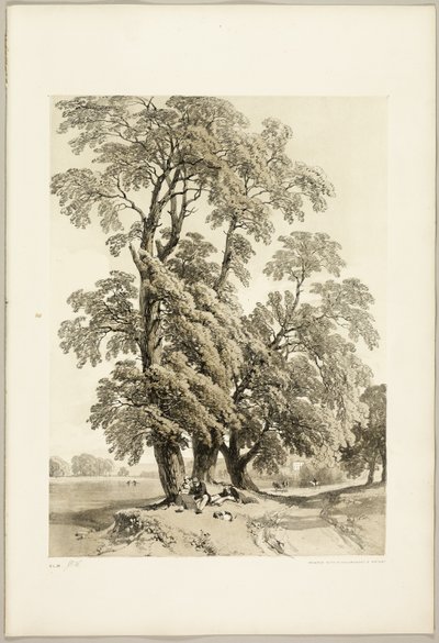 Orme, du Parc et la Forêt - James Duffield Harding