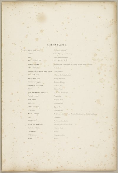Liste des planches, de Le Parc et la Forêt - James Duffield Harding