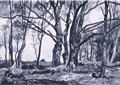 Saules pollards dans les prés de Windsor, Nature en Grande-Bretagne publiée par Collins - James Duffield Harding