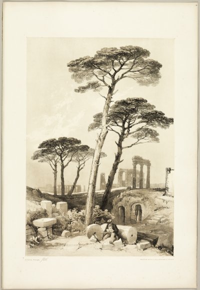 Pins parasols, du Parc et la Forêt - James Duffield Harding