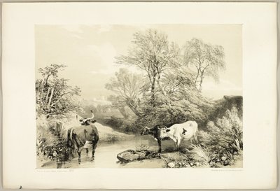 Épine, saule, hêtre et bouleau, du Parc et la Forêt - James Duffield Harding