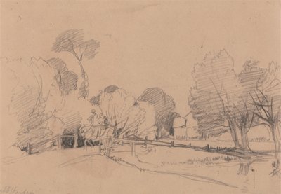 Saules près d