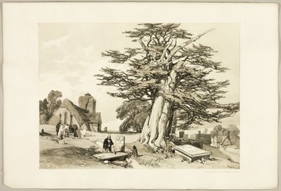If, du parc et de la forêt - James Duffield Harding