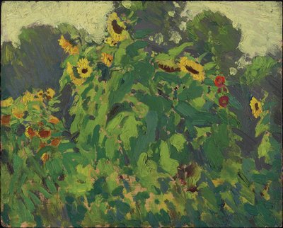 Tournesols, Thornhill, 1916 - James Edward Hervey Macdonald