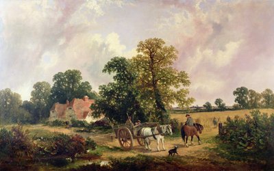 Paysage d