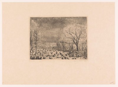 Les patineurs - James Ensor