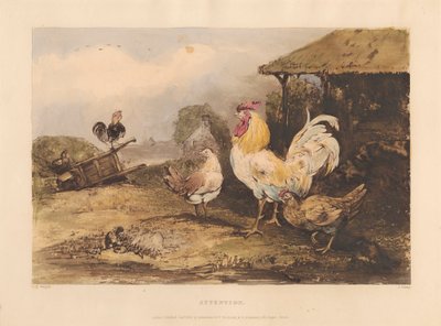 Chevalerie rurale ; Une série en six planches de combats de coqs : 1. Attention - James Fahey