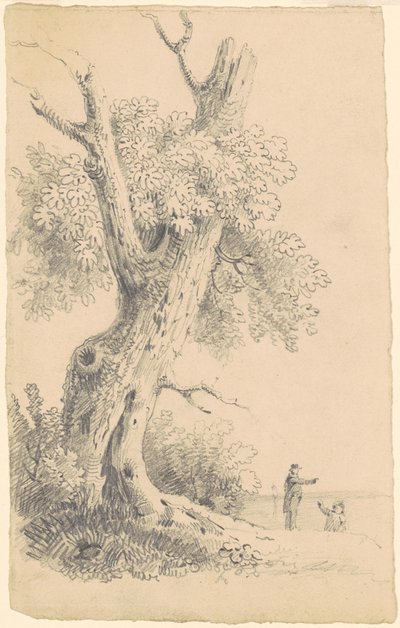 Arbre près du rivage - James Goodwyn Clonney