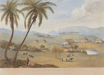 Haughton Court, Hanover, Jamaïque [Un de] - James Hakewill