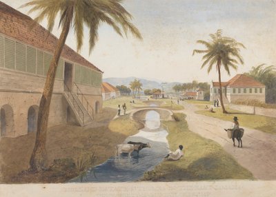 Domaine de Hollande, St. Thomas dans l