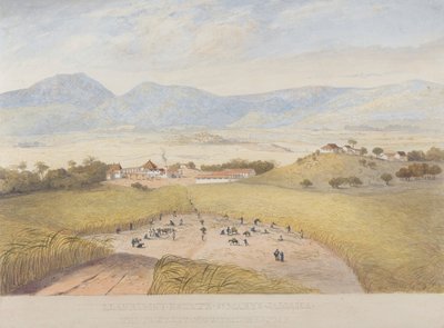 Domaine de Llanrumny, Sainte-Marie, Jamaïque - James Hakewill