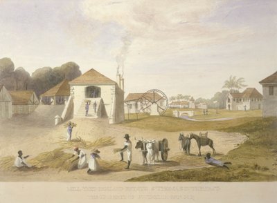 Cour de moulin, domaine de Hollande, Saint-Thomas dans l