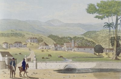 Domaines de Montpelier, St James, de 