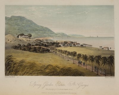 Domaine de Spring Garden, St. George
