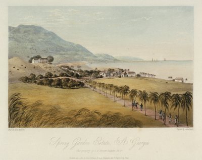 La propriété de Spring Garden, à St. George (Caraïbes), appartenant à I R Grosett Esquire. Gravure en couleur, 1er avril - James Hakewill