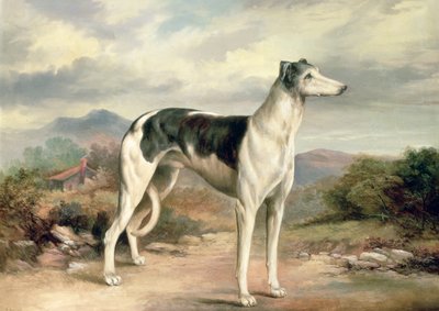 Un lévrier dans un paysage vallonné - James Henry Beard