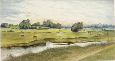 Ryton Meadows - James Henry Cleet