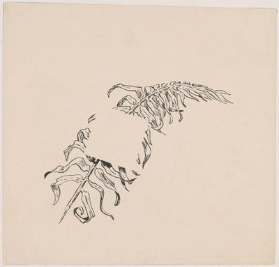 Branche - James Henry Moser