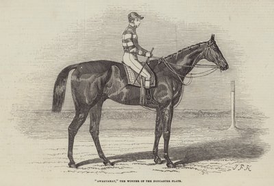 Sweetmeat, le gagnant du Doncaster Plate - James Herring