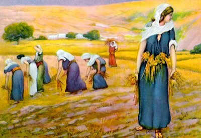 Ruth ramassant du maïs dans le champ, tiré de "Bedtime Bible Stories" (Histoires bibliques à l