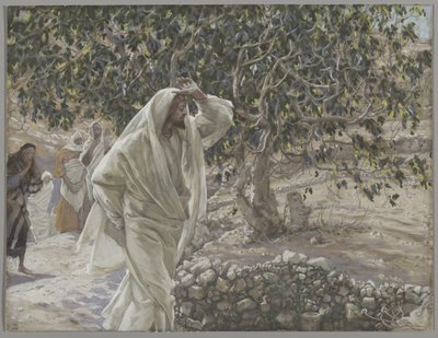 Le figuier maudit, illustration de La Vie de Notre Seigneur Jésus-Christ, 1886-94 - James Jacques Joseph Tissot