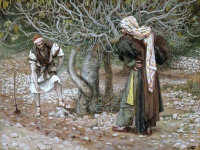 Le figuier stérile, illustration pour La vie du Christ - James Jacques Joseph Tissot