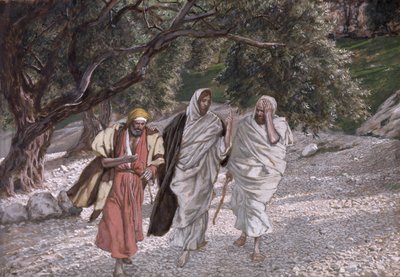 Les disciples sur le chemin d