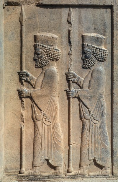 Un relief sculpté à Persépolis. Darius Ier a commencé à construire sa capitale cérémonielle - James L Stanfield