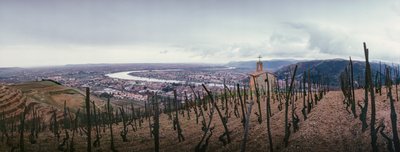 Un vignoble surplombe la ville et le Rhône. SOCIÉTÉ PAUL JABOULET AÎNÉ VIN... - James L Stanfield