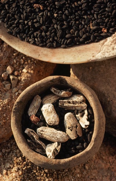 Des aliments secs sont trouvés dans des bols sur le site d