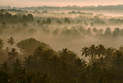 Brouillard matinal sur le vieux paysage de Goa au lever du soleil. VIEUX GOA, GOA, INDE. - James L Stanfield