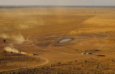 Un train routier transportant du bétail traverse un plateau désertique. Australie-Occidentale, Australie - James L Stanfield