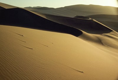 Vue des dunes ombragées près de Dunhuang. Province de Gansu, République populaire de Chine - James L Stanfield
