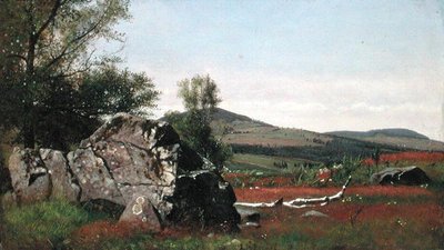 Été dans les Catskills - James McDougal Hart