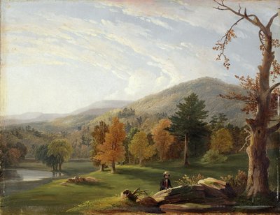 Vue parmi les Helderbergs, Catskills au loin, 1850 - James McDougal Hart