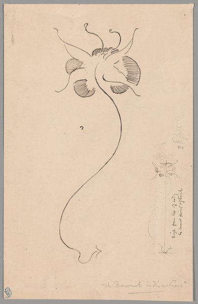 Papillon (recto) ; Étude de papillon (verso) - James McNeill Whistler