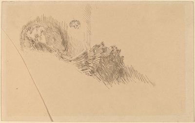 Mme ou Mlle McNay - James Abbott McNeill Whistler