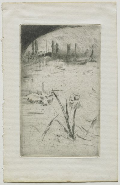 Cygne et iris - James McNeill Whistler