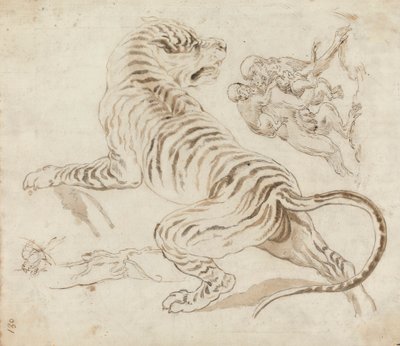 Étude pour un tigre et des singes - James Northcote