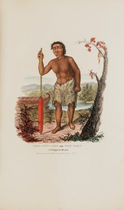 MEN-DOW-MIN ou Le maïs ; un nain chippewa, tiré du Portfolio autochtone - James Otto Lewis