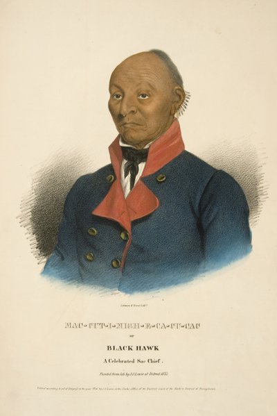 Mac-cut-i-mish-e-ca-cu-cac ou Faucon Noir - James Otto Lewis